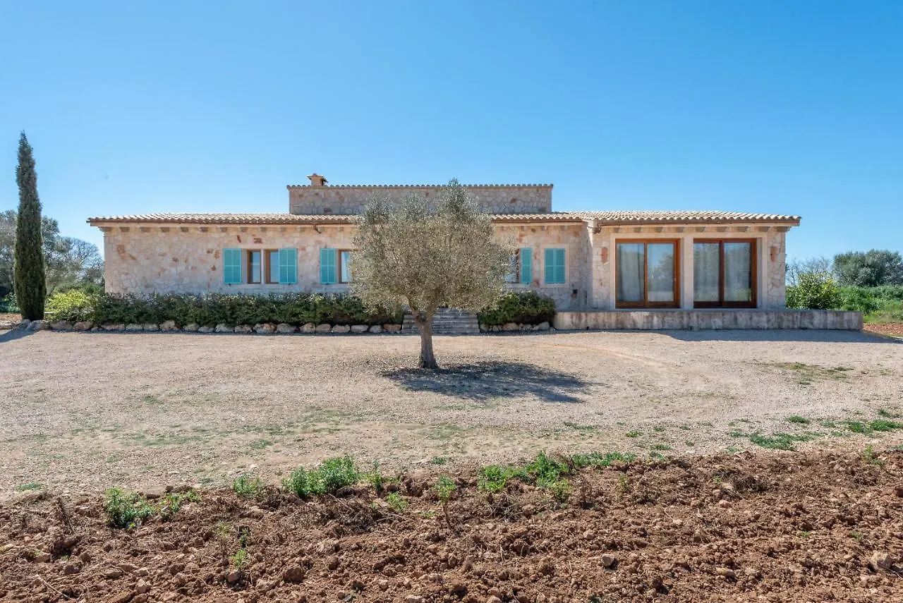 Finca Son Nou Felanitx